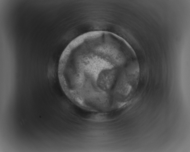 X0000100930078200807151253