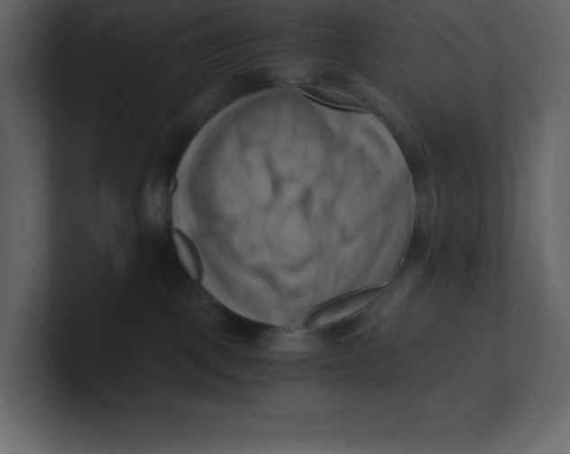 X0000100930093200807151253