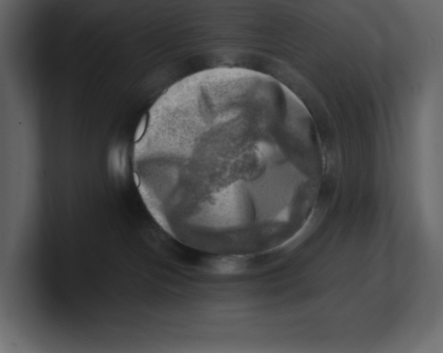 X0000100930094200807151253