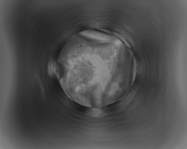 X0000100930095200807151253