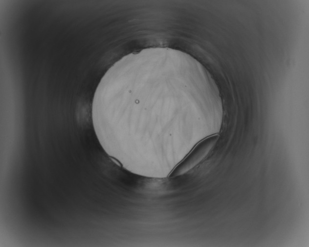 X0000100930096200807151253