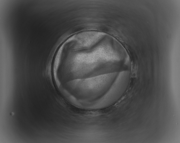 X0000100930099200807151253