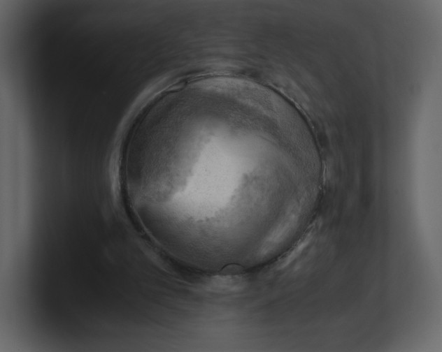 X0000100930101200807151253