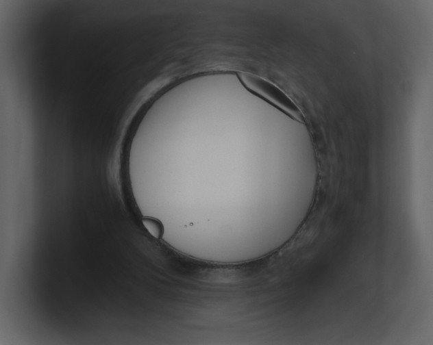 X0000100930104200807151253