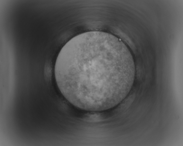 X0000100930113200807151252