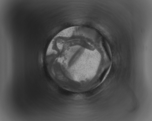 X0000100930115200807151252