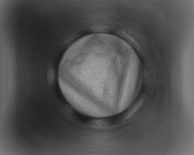 X0000100930117200807151252