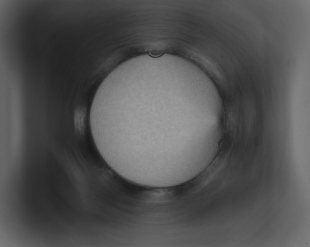 X0000100930118200807151252