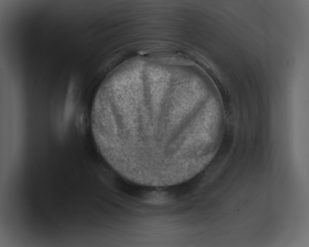 X0000100930119200807151252