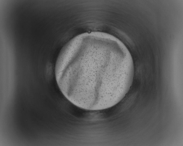 X0000100930121200807151252