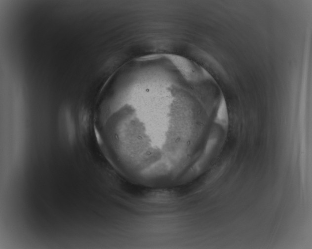 X0000100930123200807151252