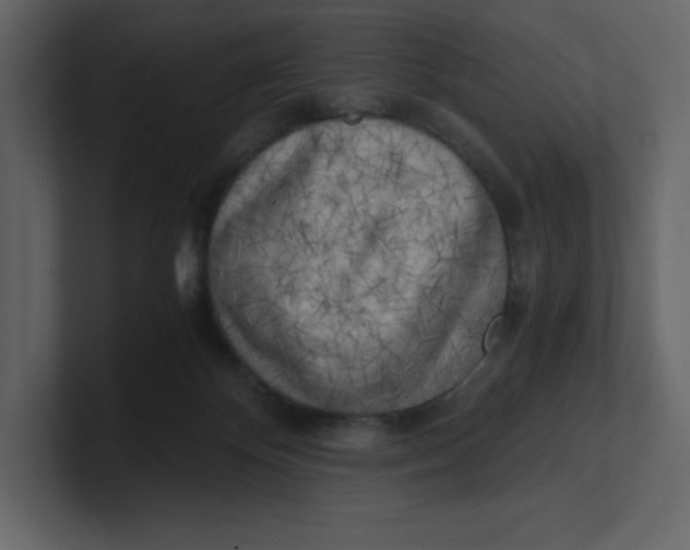 X0000100930124200807151252