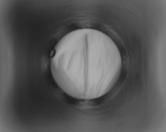 X0000100930125200807151252