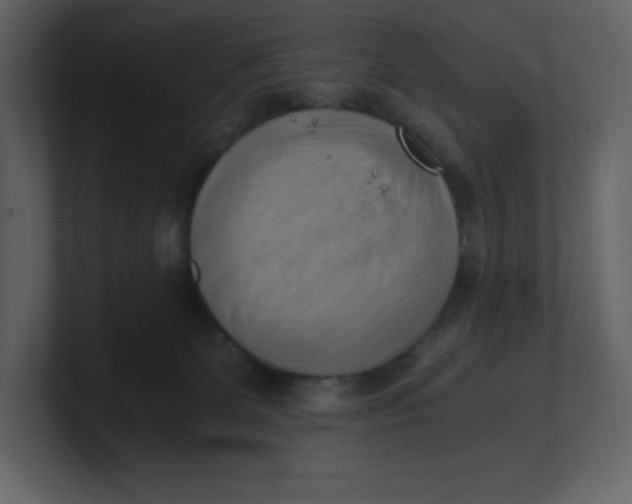 X0000100930131200807151252