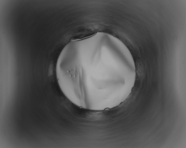 X0000100930132200807151252