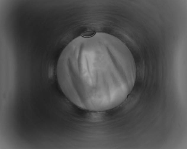 X0000100930134200807151252