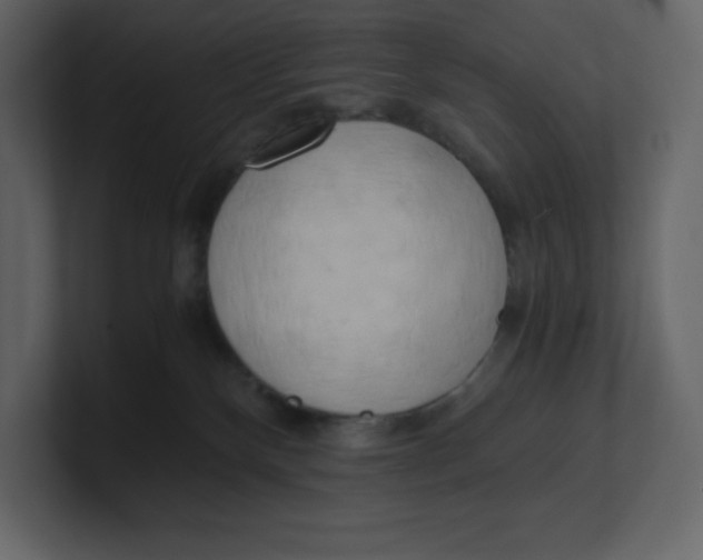 X0000100930136200807151252