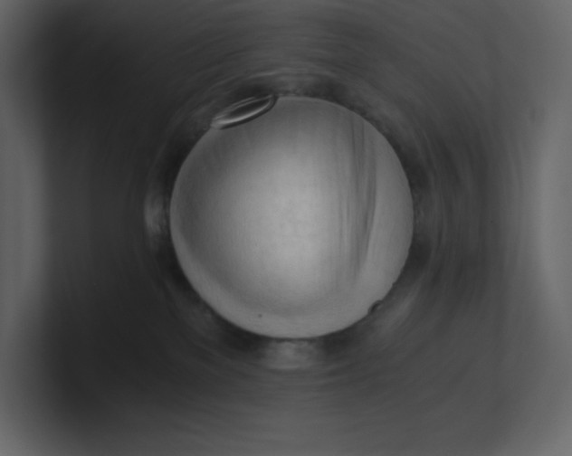 X0000100930137200807151252