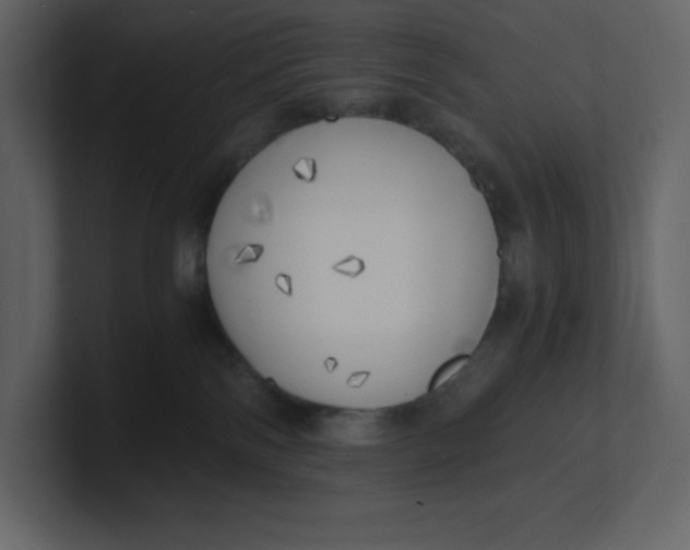 X0000100930138200807151252