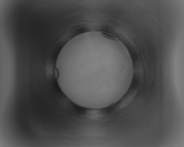 X0000100930139200807151252