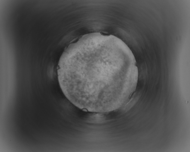 X0000100930140200807151252