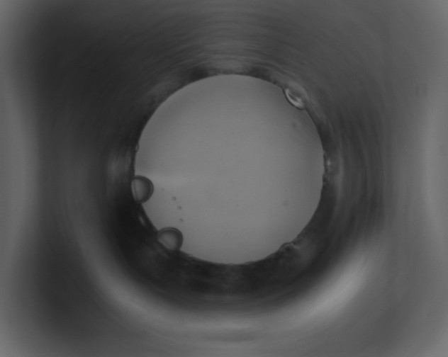 X0000100930143200807151252