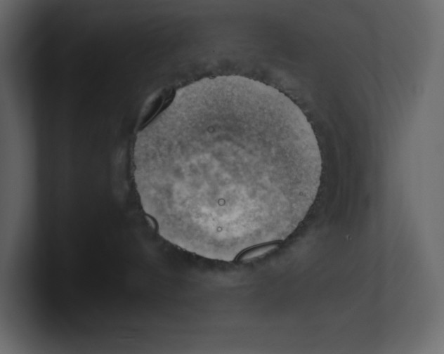 X0000100930144200807151252