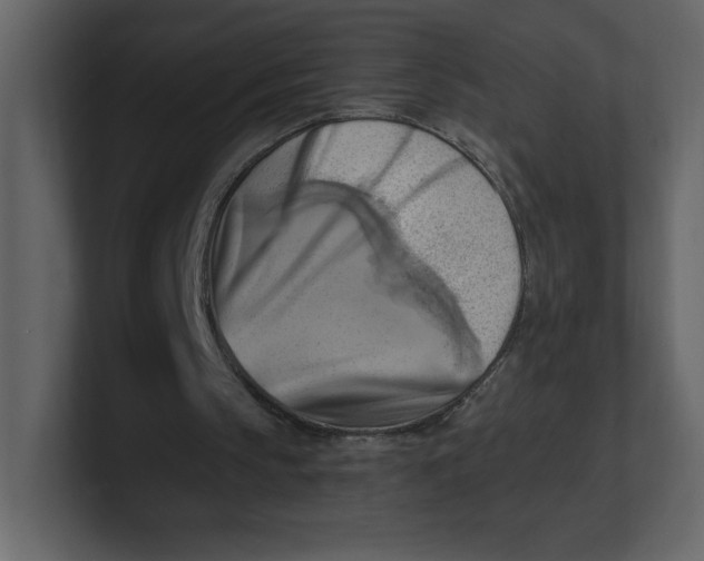 X0000100930145200807151251