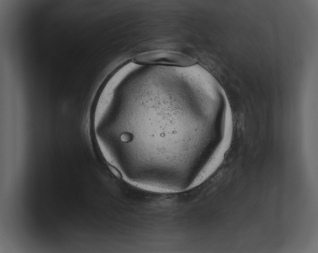 X0000100930148200807151251