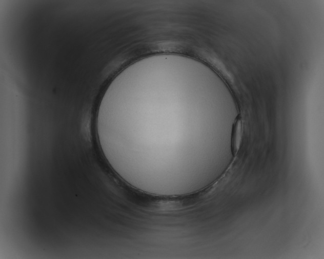 X0000100930154200807151252