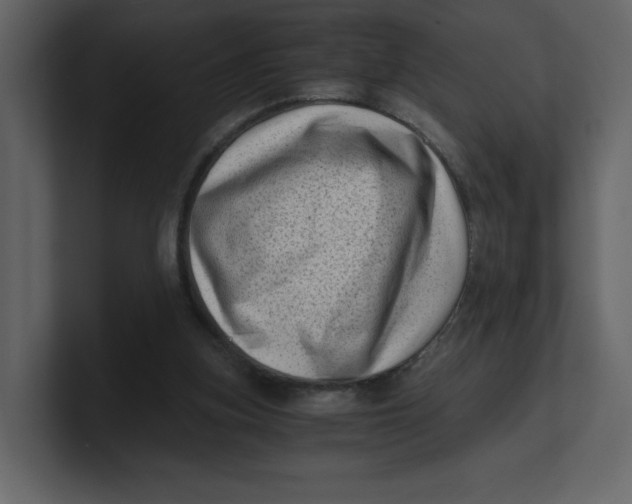 X0000100930155200807151252