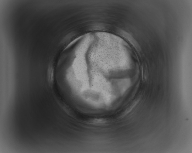 X0000100930157200807151252