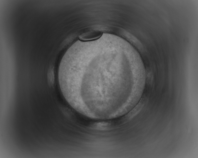 X0000100930158200807151252