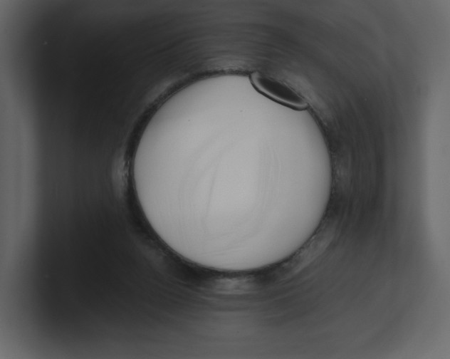 X0000100930160200807151252