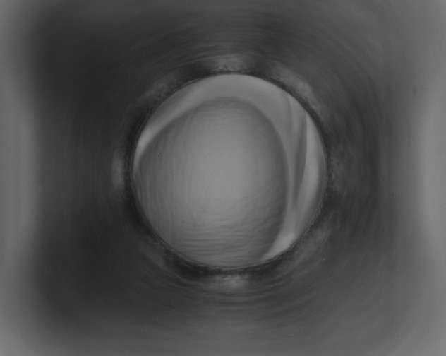 X0000100930161200807151252