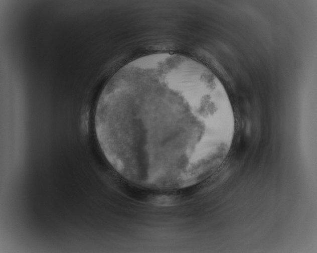 X0000100930163200807151252