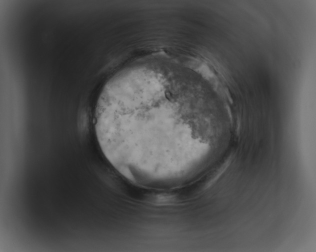 X0000100930165200807151252