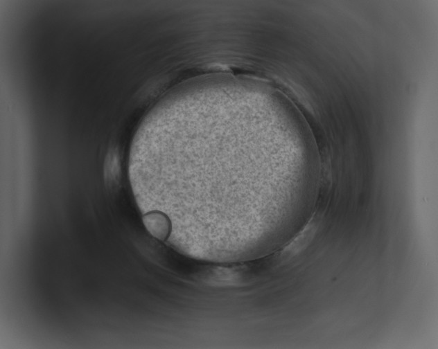 X0000100930166200807151252