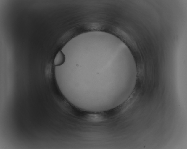 X0000100930167200807151252