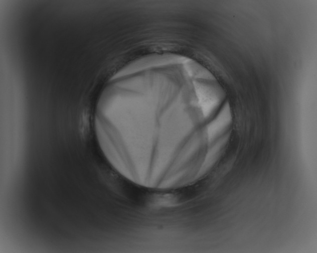 X0000100930169200807151252