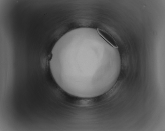 X0000100930172200807151252