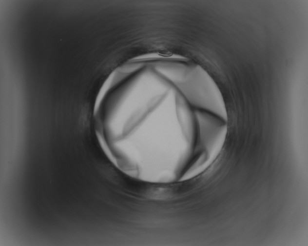 X0000100930174200807151252