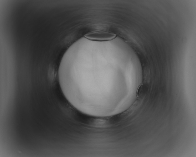 X0000100930176200807151252