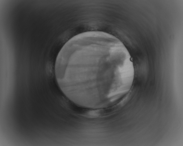 X0000100930178200807151252