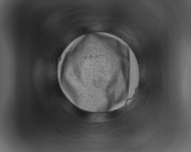 X0000100930179200807151252