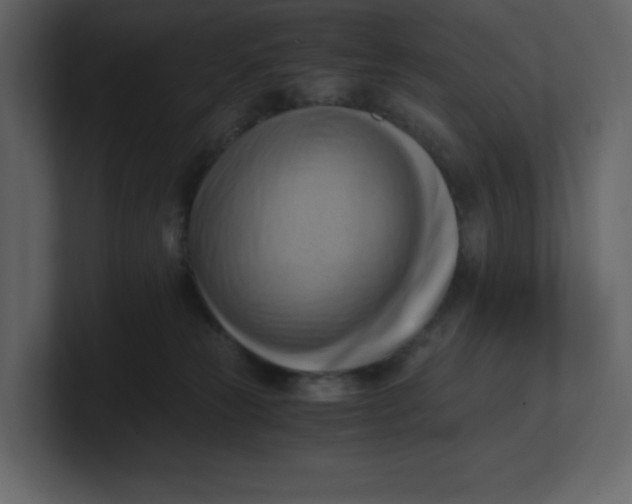 X0000100930181200807151252