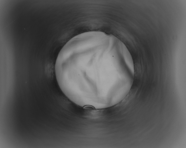 X0000100930184200807151252