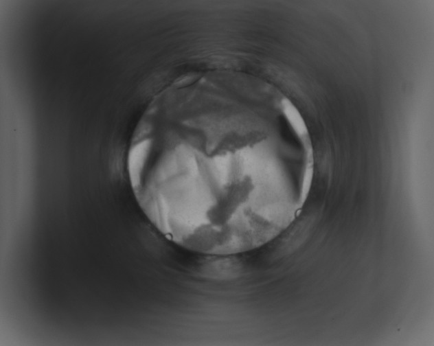 X0000100930185200807151252