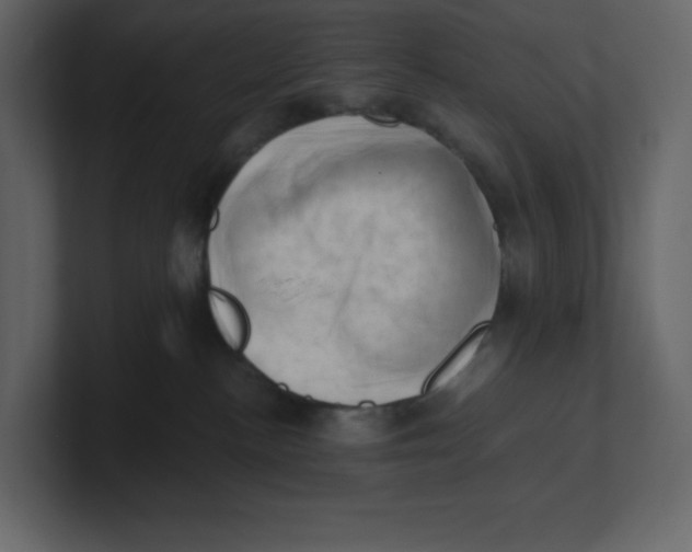 X0000100930188200807151252