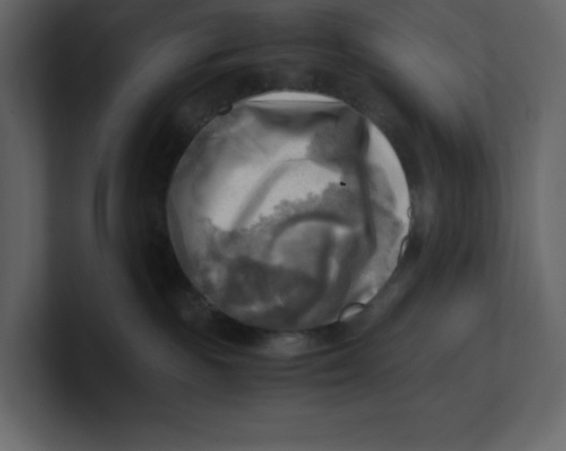 X0000100930189200807151252